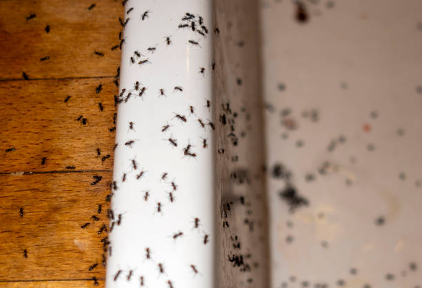 Harrodsburg, KY Pest Control Company